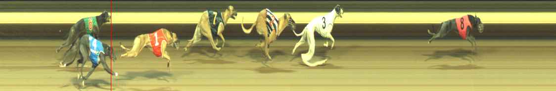 Photo finish for Warragul Race 12