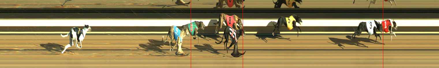 Photo finish for Warragul Race 2