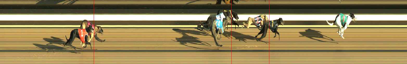 Photo finish for Warragul Race 3