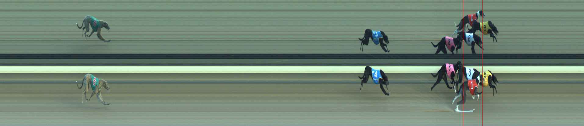 Photo finish for Warragul Race 5