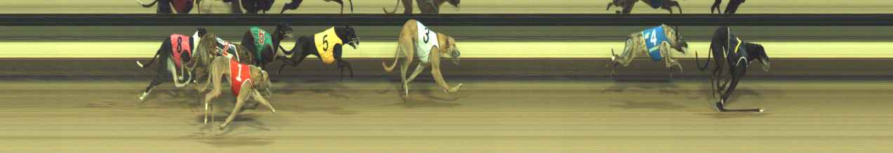 Photo finish for Warragul Race 8