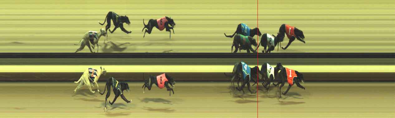 Photo finish for Warragul Race 9