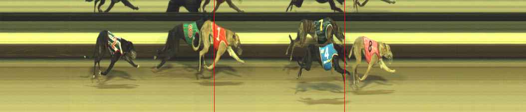 Photo finish for Warragul Race 11