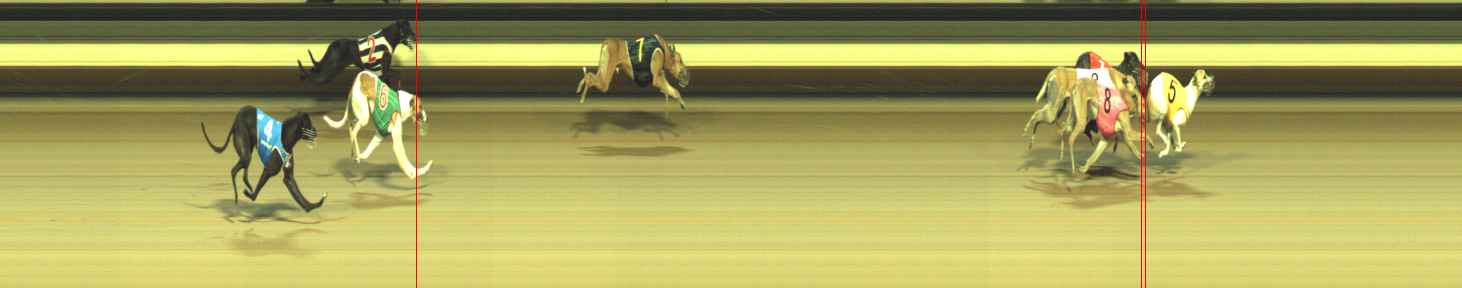 Photo finish for Warragul Race 12