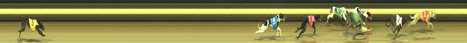 Photo finish for Warragul Race 2