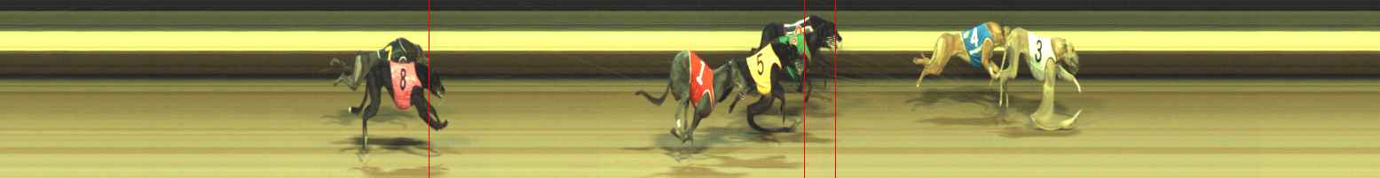 Photo finish for Warragul Race 4