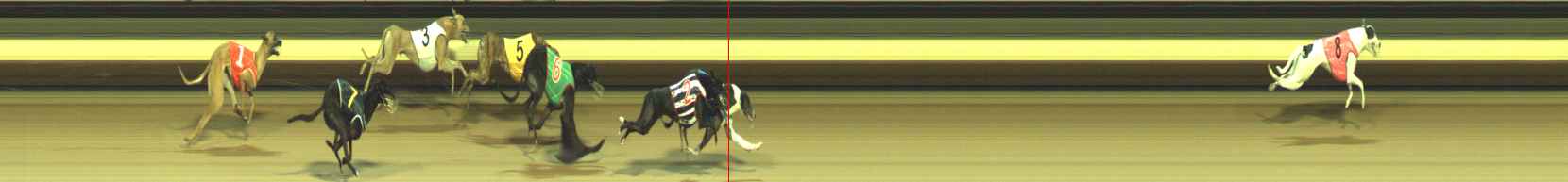Photo finish for Warragul Race 5