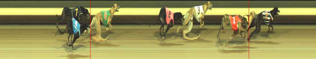 Photo finish for Warragul Race 6