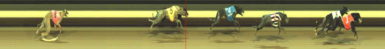 Photo finish for Warragul Race 7