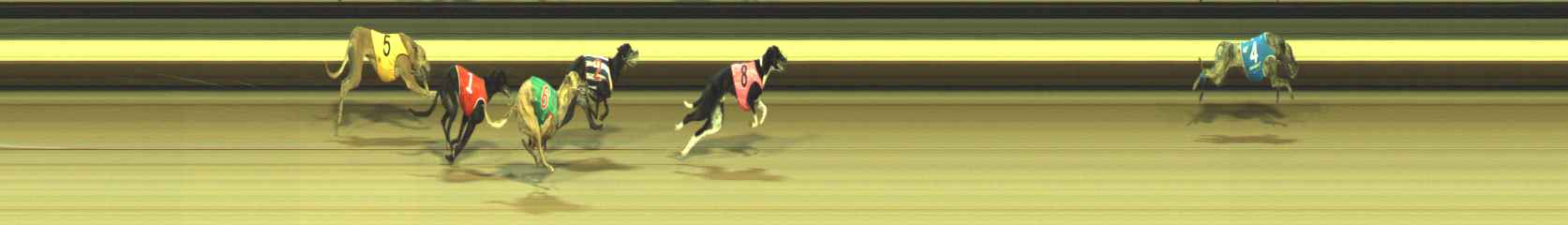 Photo finish for Warragul Race 8