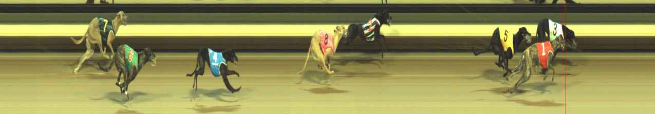 Photo finish for Warragul Race 9
