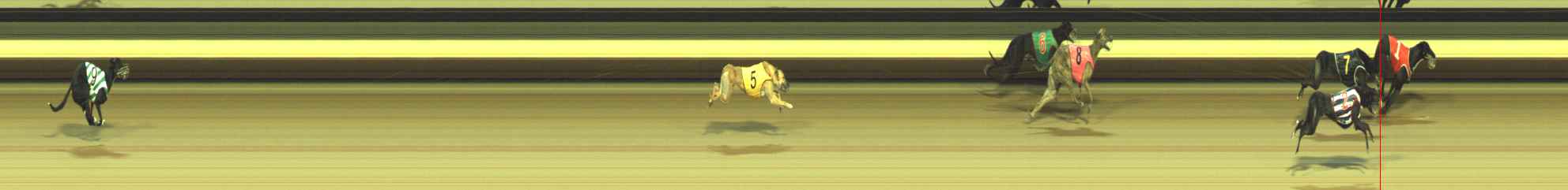 Photo finish for Warragul Race 10