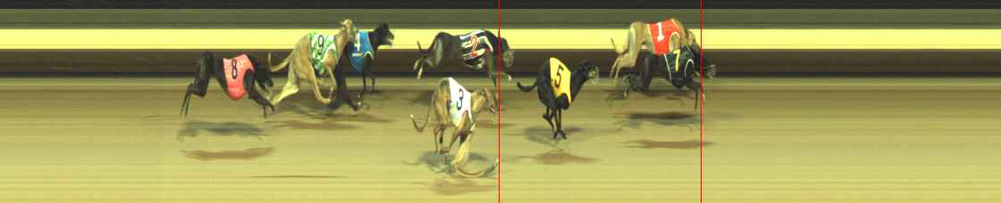 Photo finish for Warragul Race 12