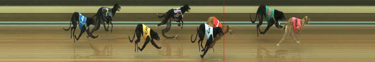 Photo finish for Warragul Race 1