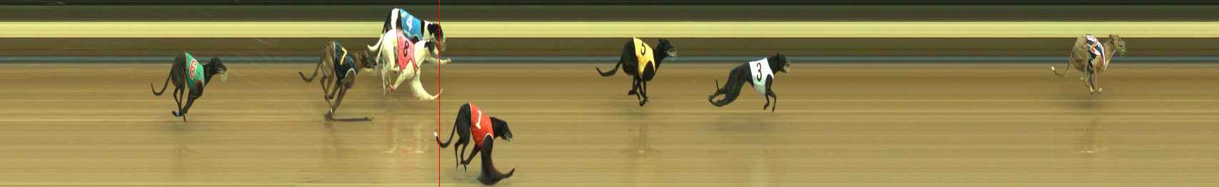 Photo finish for Warragul Race 3