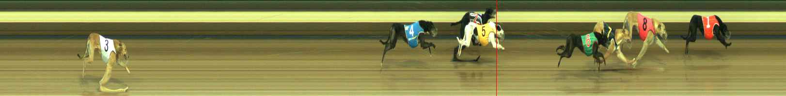 Photo finish for Warragul Race 4