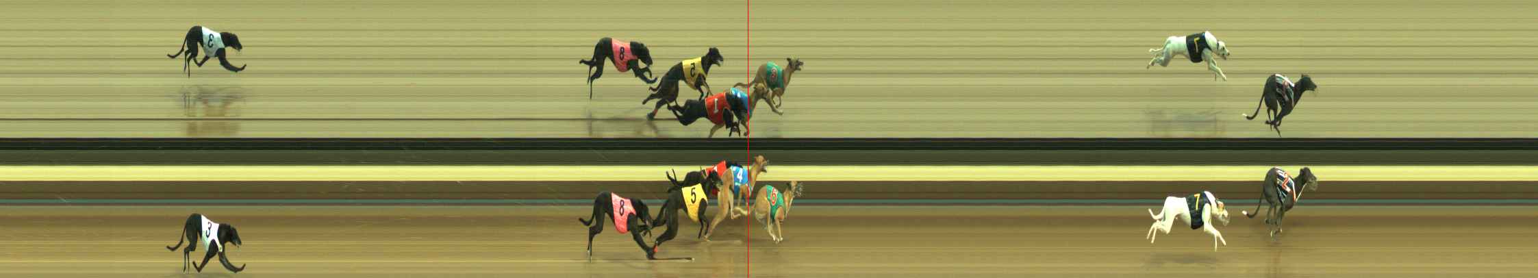 Photo finish for Warragul Race 5