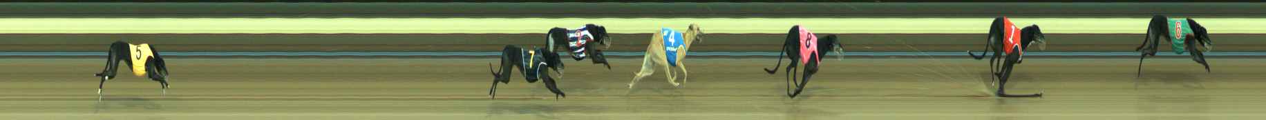 Photo finish for Warragul Race 6