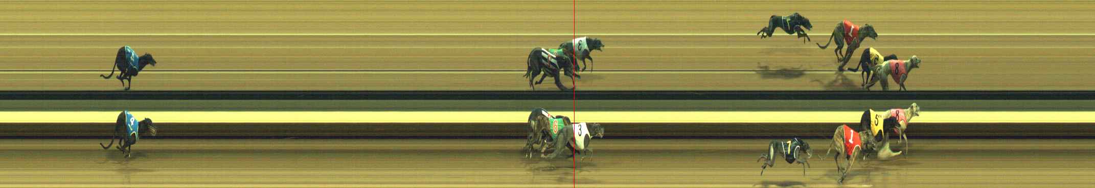 Photo finish for Warragul Race 8