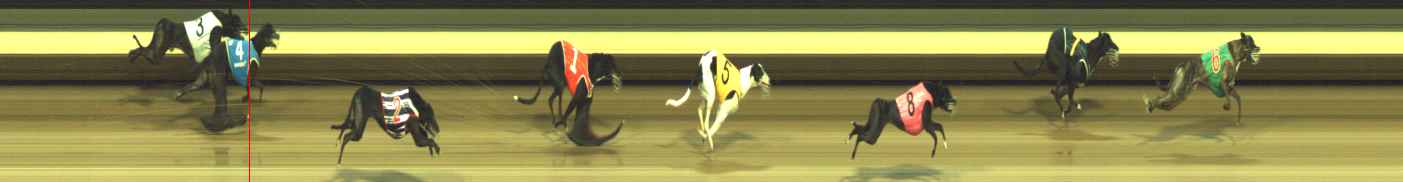 Photo finish for Warragul Race 11