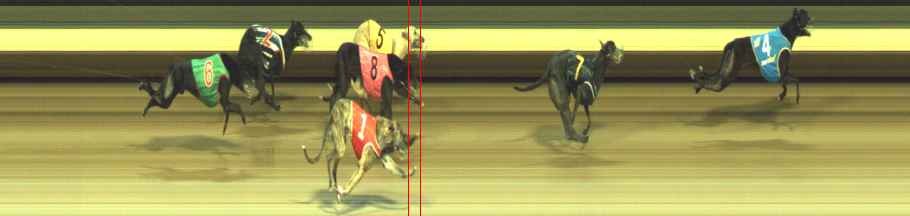 Photo finish for Warragul Race 12