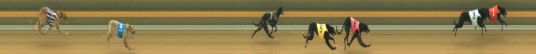 Photo finish for Warragul Race 1