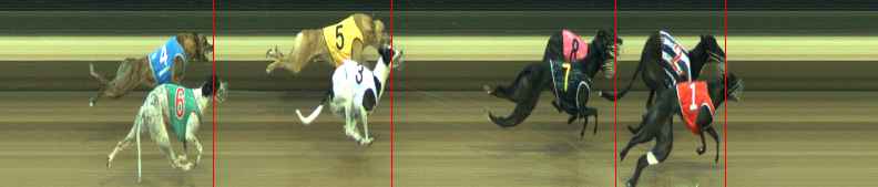 Photo finish for Warragul Race 4