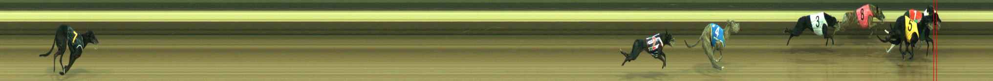 Photo finish for Warragul Race 6