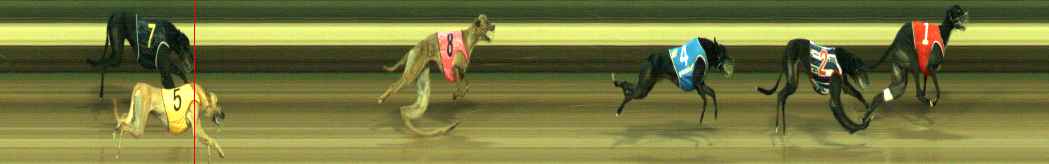 Photo finish for Warragul Race 7