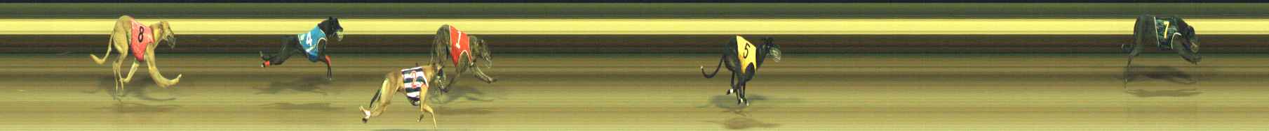 Photo finish for Warragul Race 8