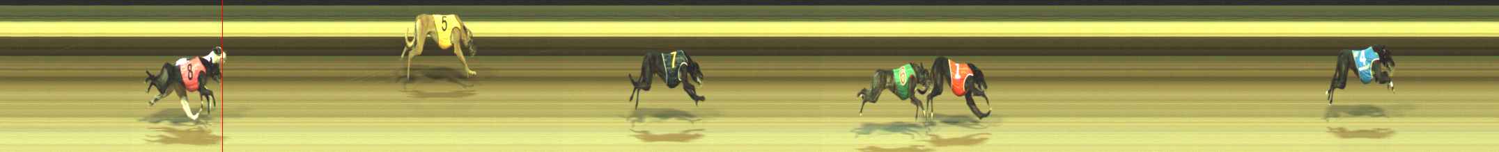 Photo finish for Warragul Race 11