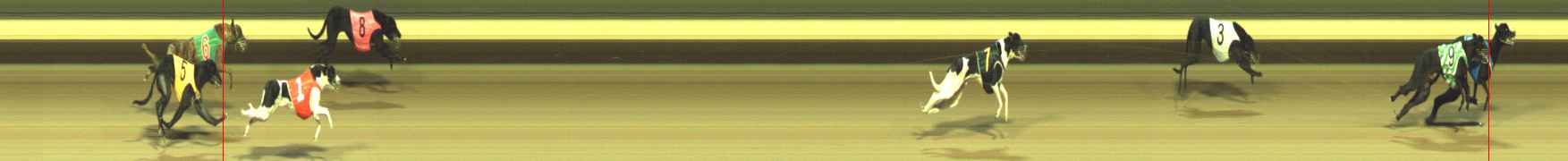 Photo finish for Warragul Race 1