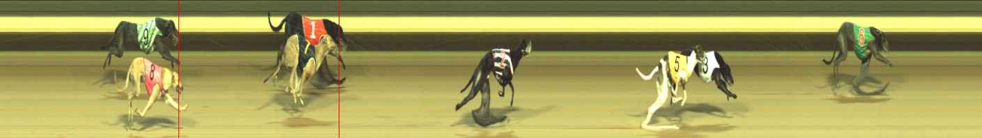 Photo finish for Warragul Race 2