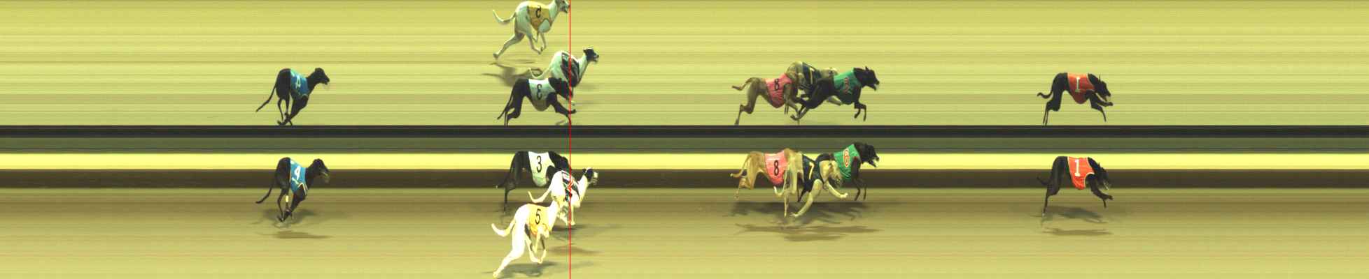 Photo finish for Warragul Race 3