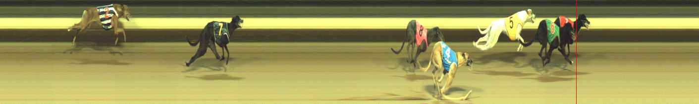 Photo finish for Warragul Race 4