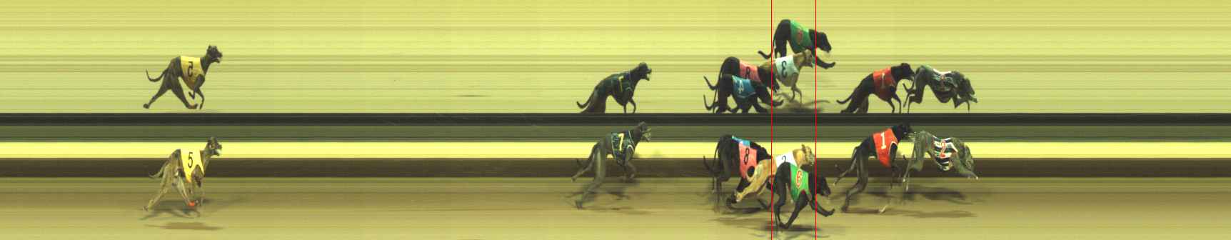 Photo finish for Warragul Race 5
