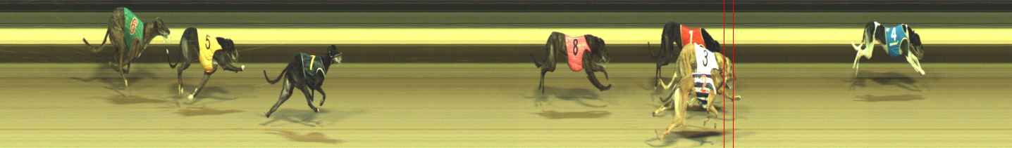 Photo finish for Warragul Race 6