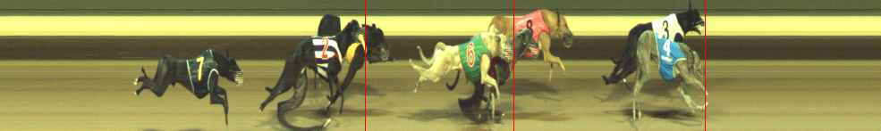 Photo finish for Warragul Race 7