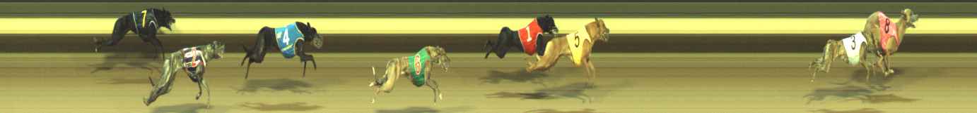 Photo finish for Warragul Race 8