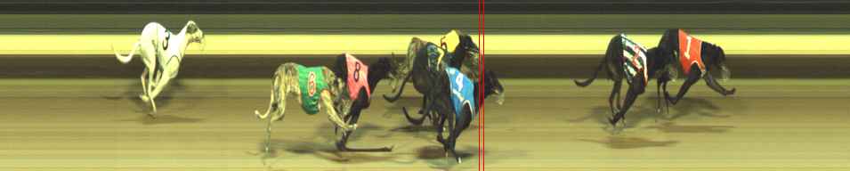 Photo finish for Warragul Race 10