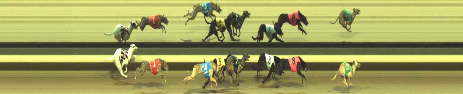 Photo finish for Warragul Race 11