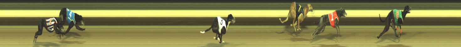 Photo finish for Warragul Race 12