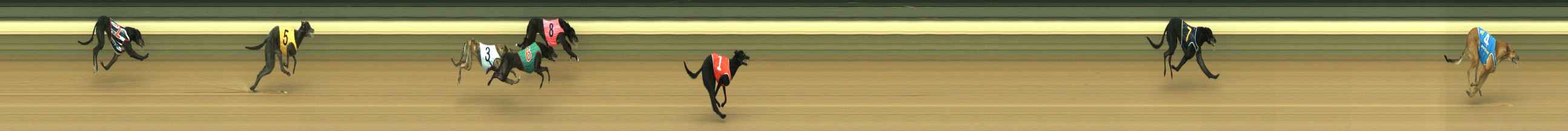 Photo finish for Warragul Race 1