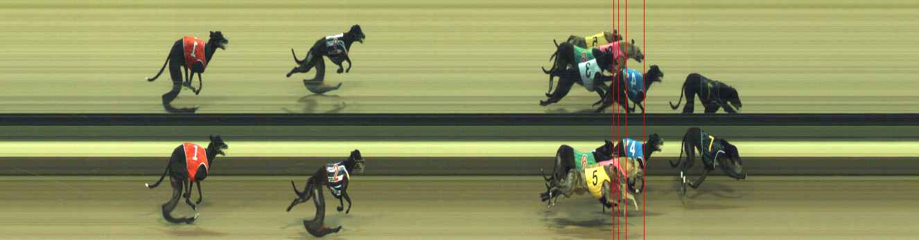 Photo finish for Warragul Race 8