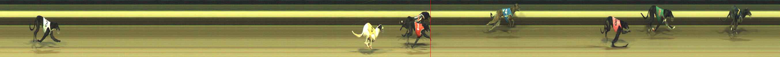 Photo finish for Warragul Race 9