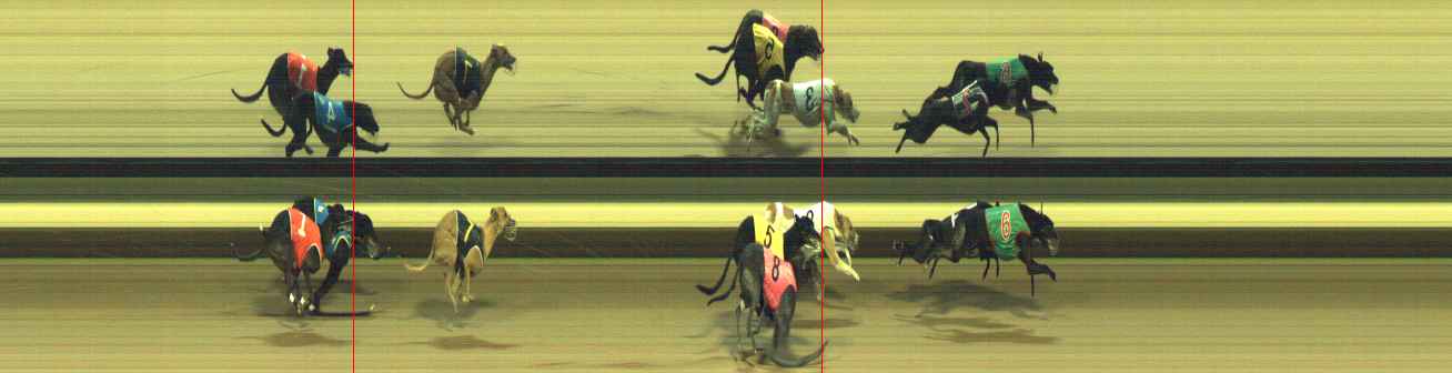 Photo finish for Warragul Race 10