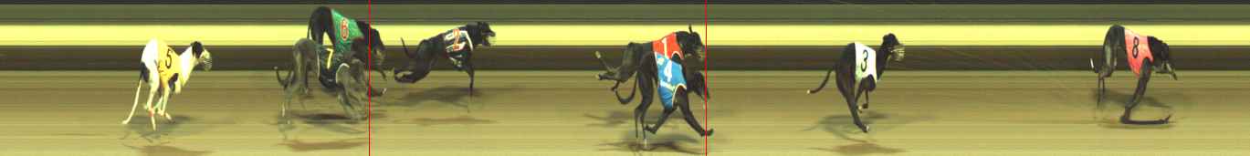 Photo finish for Warragul Race 11