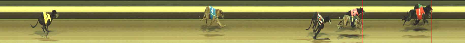 Photo finish for Warragul Race 12