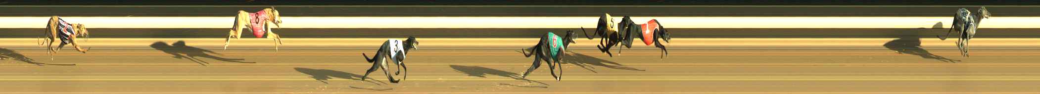 Photo finish for Warragul Race 4