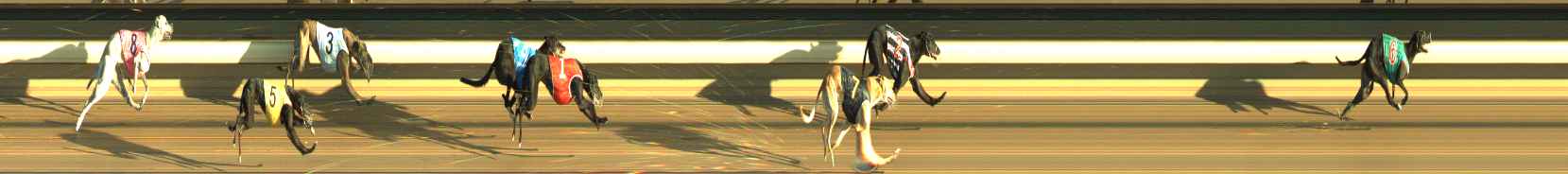 Photo finish for Warragul Race 5
